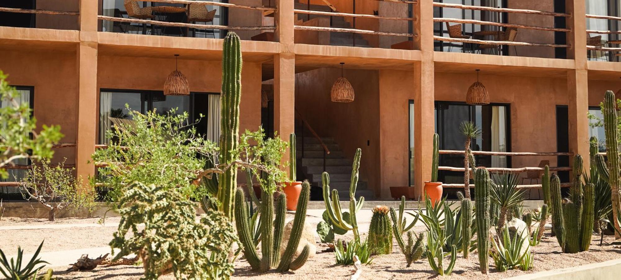 Baja Temple Hotel Todos Santos Kültér fotó